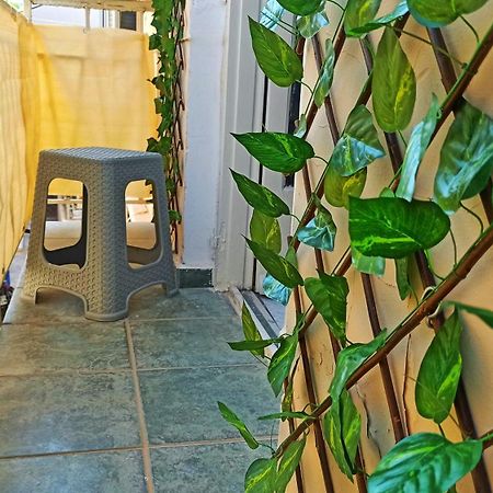 Leia Guest House エルムポリ エクステリア 写真